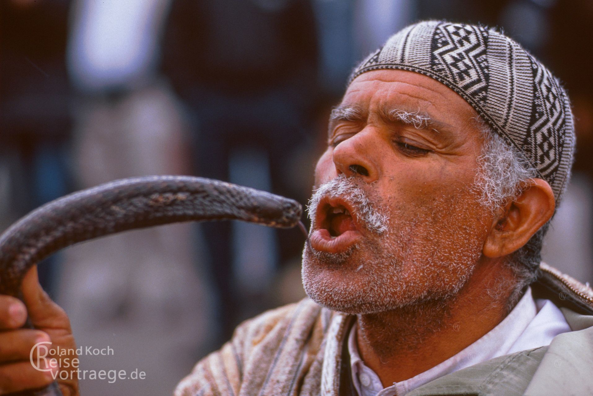 Schlangenbeschwörder auf dem Souk, Jamaa el Fna, Marrakesch